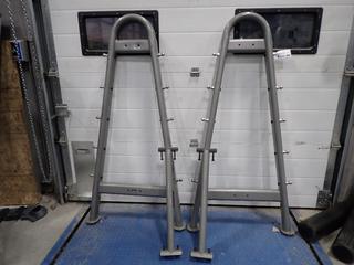 York Barbell Rack  *Note: Disassembled*