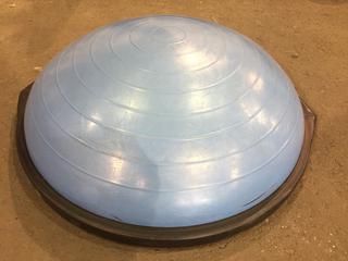 Bosu Balance Trainer.