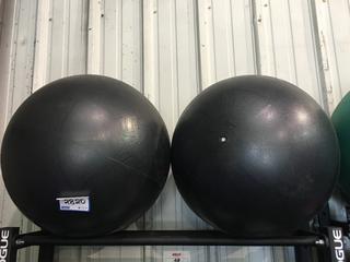 (2) Fitness Balls.