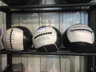 (3) Medicine Balls, 10, 14 & 20lbs.