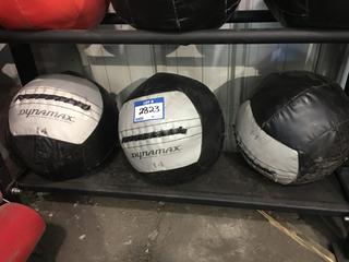 (3) 14lb Medicine Balls.