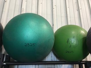 (2) Fitness Balls.