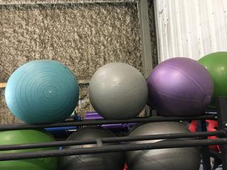 (3) Fitness Balls.