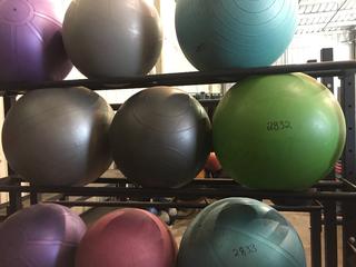 (3) Fitness Balls.