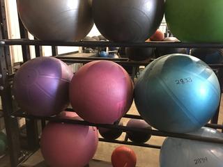 (3) Fitness Balls.