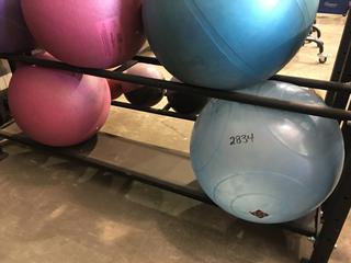 (2) Fitness Balls.