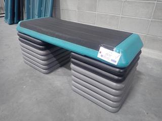 The Step Fitness Step C/w (14) Risers