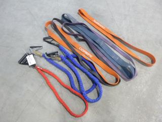 Qty Of Exercise Bands/Straps