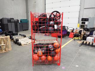 Double Basket Storage Rack C/w Assorted Size Medicine Balls *Note: This Item Is Located At 7103 68AVE NW- Location 2*