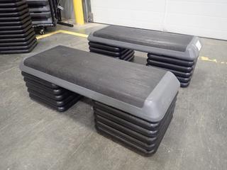 (2) Fitness Steps C/w (20) Risers *Note: This Item Is Located At 7103 68AVE NW- Location 2*