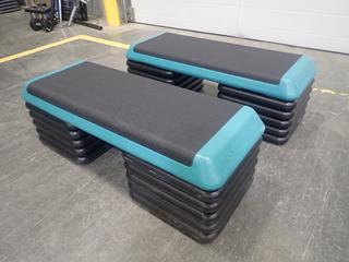 (2) The Step Fitness Steps C/w (20) Risers *Note: This Item Is Located At 7103 68AVE NW- Location 2*