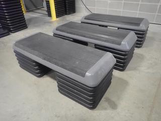 Qty Of (3) The Step Fitness Steps C/w (30) Risers *Note: This Item Is Located At 7103 68AVE NW- Location 2*