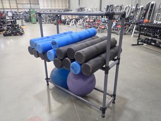 52in X 16in X 57in Plastic Tube Shelving Unit C/w Qty Of Foam Rollers And (2) Balls *Note: This Item Is Located At 7103 68AVE NW- Location 2*