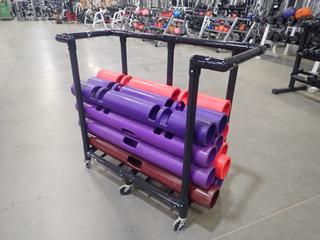 44in X 18in X 38in Duracart Plastic Cart C/w Qty Of Vipr Tube/Strength Trainers *Note: This Item Is Located At 7103 68AVE NW- Location 2*
