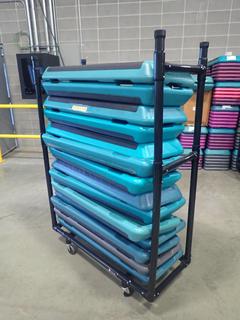 Duracart 46in X 18in X 60in Cart C/w Qty Of (14) Fitness Steps *Note: This Item Is Located At 7103 68AVE NW- Location 2*