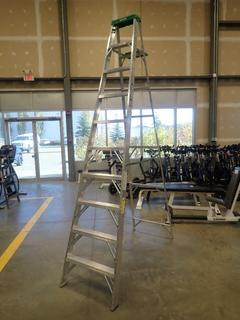 Werner 10ft Step Ladder *Note: This Item Is Located At 7103 68AVE NW- Location 2*