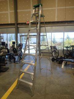 Werner 10ft Aluminum Step Ladder *Note: This Item Is Located At 7103 68AVE NW- Location 2*