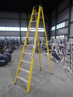 Lite Model C445 10ft Step Ladder