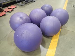 Qty Of (6) Fitter First Exercise Balls *Note: This Item Is Located At 7103 68AVE NW- Location 2*
