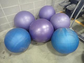Qty Of (6) Fitter First Exercise Balls *Note: This Item Is Located At 7103 68AVE NW- Location 2*