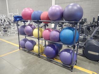 104in X 16in X 57in Plastic Tube Storage Rack C/w Qty Of Assorted Exercise Balls *Note: This Item Is Located At 7103 68AVE NW- Location 2*