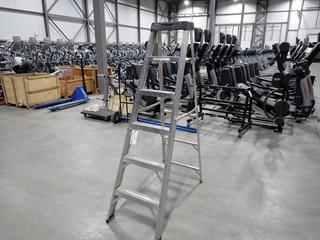 Featherlite 6ft Aluminum Step Ladder
