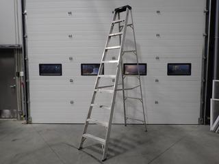 10ft Aluminum Step Ladder