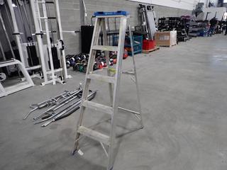 Reynolds 5ft Aluminum Step Ladder