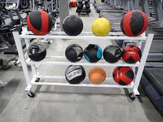 3-Tier Medicine Ball Rack C/w Assorted Size Medicine Balls