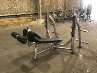Life Fitness Decline Ab Bench w/ Weight Rack.