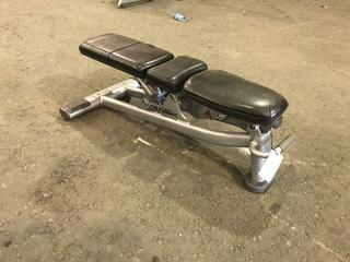 Life Fitness Adjustable Bench.