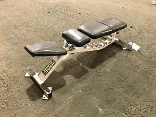 Hammer Strength Adustable Bench.
