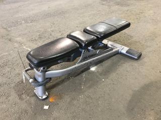 Life Fitness Adjustable Bench.
