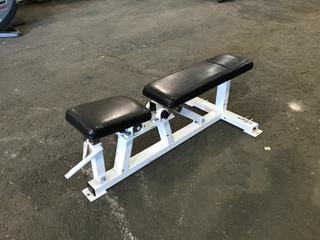 Adjustable Bench.