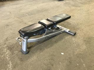 Life Fitness Adjustable Bench.