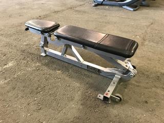 Hammer Strength Adjustable Bench.