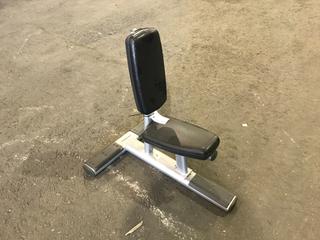 Life Fitness Utility Bench.