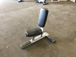 Life Fitness Utility Bench.