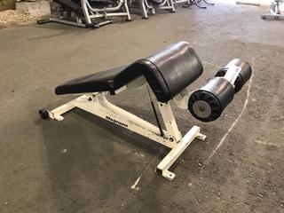 Magnum Adjustable Decline AB Bench.