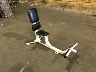 Hammer Strength Stationary Utility Bench.