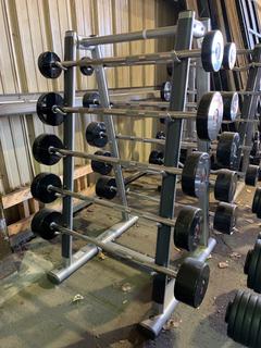 Life Fitness Barbell Rack w/ GP 20lbs - 110lbs Barbells, S/N 081102001300.