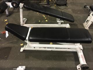 Body Masters Adjustable Bench.