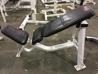 Hammer Strength Incline Bench FWIB A01, S/N 0660