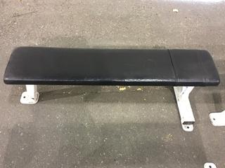 Pulse Fitness Flat Bench B101, S/N 0303520.