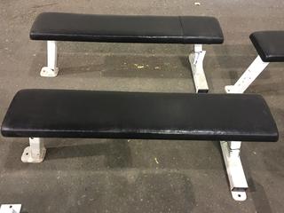 Pulse Fitness Flat Bench B101, S/N 0303516.