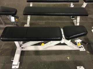 Apex Adjustable Bench.