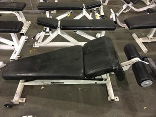 Magnum Adjustable Decline AB Bench.