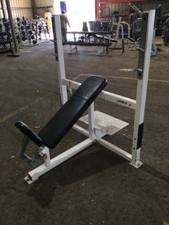 Apex Olympic Incline Bench w/ Weight Rack.
