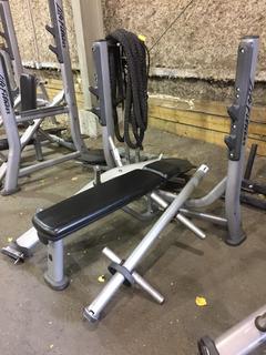 Life Fitness Olympic Bench w/ Weight Rack.