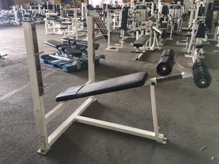 Apex Olympic Decline Bench w/ Weight Rack.